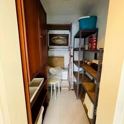Blk 313B Punggol Parcvista (Punggol), HDB 4 Rooms #607573871